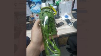 Viral Foto Infused Water Isi Seledri, Warganet: Enggak Sekalian Diisi Cupang?