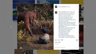 Viral Orangutan Julurkan Tangan Bantu Pria yang Terjebak di Sungai