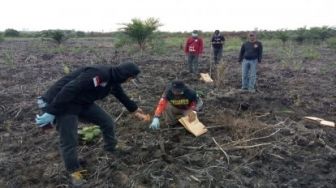 Polisi Tangkap Pelaku Pembakar Lahan di Rupat Utara