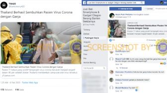 CEK FAKTA: Benarkah Thailand Sembuhkan Pasien Virus Corona Pakai Ganja?