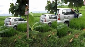 Aneh Bin Ajaib, Mobil Masuk Tengah Sawah  Tanpa Bekas Jejak Ban