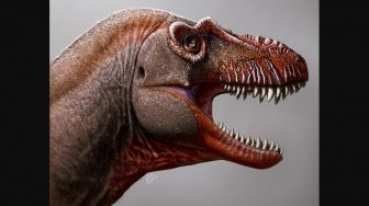 Berumur 79 Juta Tahun, Ilmuwan Temukan Fosil Sepupu Jauh T-Rex