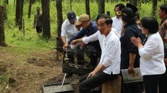 Jokowi Lepas Sepasang Burung Elang Jawa Pasca Erupsi Gunung Merapi