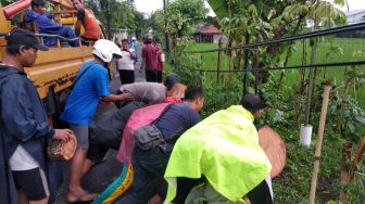 Hujan Angin Kencang Guyur Sleman, Pohon Mindi Timpa Rumah Warga Sendangadi