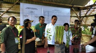 Sebut Tak Diurus, Jokowi Minta Waduk Gajah Mungkur Ditanami Vetiver