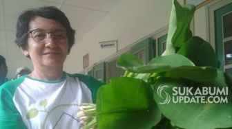 Sayuran Organik di Sukabumi? Solusi Sampah & Minimnya Lahan Tani Perkotaan