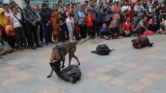 Anjing Pelacak Temukan Bahan Peledak di CFD