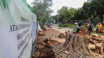 Petugas memotong bagian bagian pohon yang tumbang di kawasan IRTI Monas, Jakarta Pusat, Senin (24/02). [Suara.com/Alfian Winanto]
