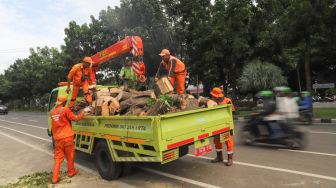 Petugas menaruh potongan kayu dari pohon yang tumbang ke truk di kawasan IRTI Monas, Jakarta Pusat, Senin (24/2). [Suara.com/Alfian Winanto]