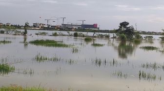 Kisah Warga Kandang Sapi, Kampung Korban Banjir di Belakang AEON Mall JGC