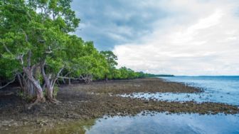 Sesar Darat Aktif di Pulau Yamdena Picu Gempa Magnitudo 6,0