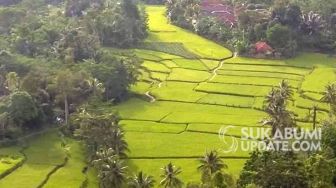 Kisah Kampung Rawa Ece dan Sejarah Gempa Megathrust di Sukabumi