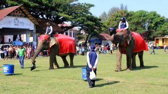 Edukasi Membuang Sampah Lewat Gajah di Aceh