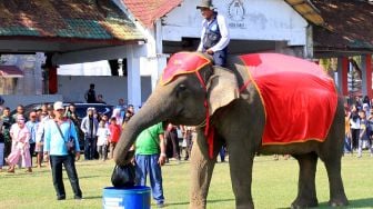 Sejumlah pengunjung melihat atraksi gajah jinak Sumatera memasukkan sampah ke dalam tempatnya di Lapangan Teuku Umar Meulaboh, Aceh Barat, Aceh, Minggu (1/3). [ANTARA FOTO/Syifa Yulinnas]