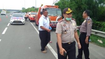 ular terpanjang di dunia 40 meter Masuk Rumah Ular Piton 4 Meter Makan Kucing Milik Warga 