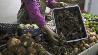 Pedagang menunjukkan jahe merah di Pasar Rumput, Jakarta Selatan, Rabu (4/3). [Suara.com/Angga Budhiyanto]