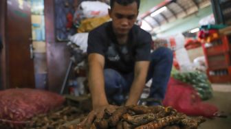 Pedagang merapikan rempah kunyit yang akan dijual di Pasar Induk Kramat Jati, Jakarta Timur, Jumat (6/3). [Suara.com/Alfian Winanto]