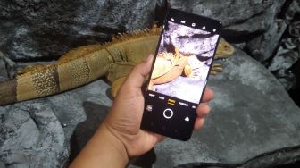 Kesan Singkat Menjajal Kamera Oppo Reno 3