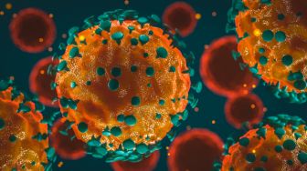 Virus Pemicu Covid-19 Sudah Ada di Tubuh Manusia Selama Puluhan Tahun