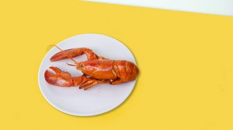 Lobster Jadi Trending Topik, Ini Beda Harga Lobster Ternak VS Liar