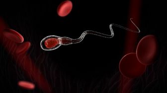 Gejala dan Cara Mengobati Alergi Sperma, Kondisi Langka yang Sulit Didiagnosis