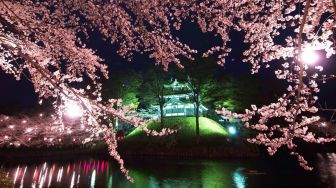 Mau Lihat Sakura Mekar? Ini 10 Tempat Terbaik untuk Hanami di Jepang