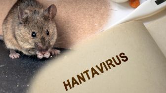 Geger Hantavirus, Ini 5 Gejala yang Dirasakan Jika Seseorang Terinfeksi