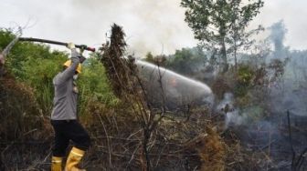 Selain Corona, Pekanbaru Juga Dibayang-bayangi Karhutla