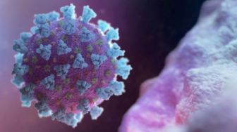 Masih Berpikir Virus Corona Buatan Lab? Simak Studi Baru Ini