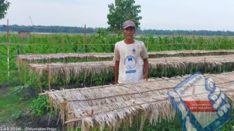 Akibat Covid-19, Penjualan Bibit di Bojonegoro Turun Drastis