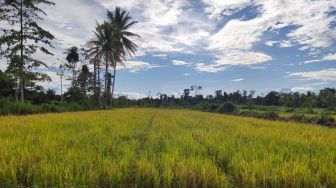 Alokasi Pupuk Bersubsidi untuk Kabupaten Probolinggo Dipastikan Aman