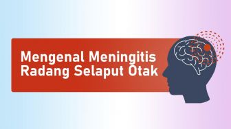 INFOGRAFIS: Mengenal Meningitis, Penyakit Radang Selaput Otak