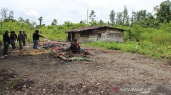 Pos TNI di Papua Diserang Kelompok Bersenjata, Dua Prajurit Meninggal Dunia