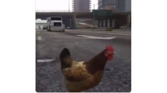 Video Susahnya Jadi Ayam Ketika Menyeberang, Bikin Warganet Kaget!