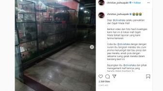 Viral Anjing Ditelantarkan di Pet Shop Mall Akibat PSBB Jakarta