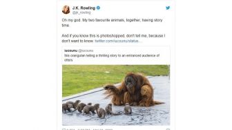 Orangutan Berinteraksi dengan Berang-berang, JK Rowling Sampai Kagum!