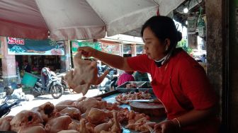 Harga Ayam Potong di Sleman Terus Merosot, Pedagang Duga karena Over Supply