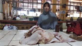 Pembeli Daging Ayam Menurun, Penjual Pilih Banting Stir Usaha Lain