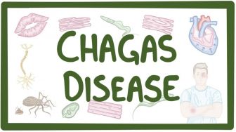 14 April Sebagai Hari Penyakit Chagas Sedunia, Ketahui 7 Faktanya di Sini!