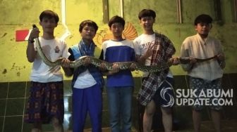 Berbekal Seutas Tali, Remaja Gunungpuyuh Sukabumi Kembali Menangkap Ular