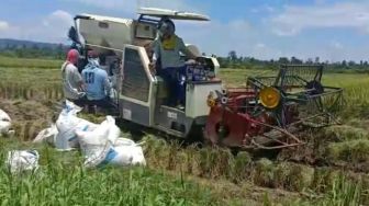 Rawan Bencana Alam, Petani Kembali Diingatkan Ikut Asuransi Usaha Tani