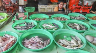 Pedagang ikan menanti pembeli di Pasar Minggu, Jakarta Selatan, Jumat (17/4). [Suara.com/Alfian Winanto]