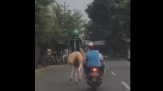 Bukan Motor, Pria Berjaket Ojol Asyik Naik Kuda Ini Bikin Ngakak Netizen