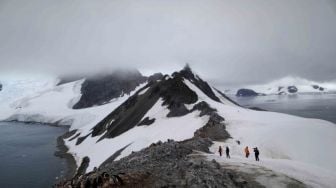 Terungkap! Sebelum Jadi Benua Es, Antartika Adalah Hutan