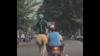 Viral Driver Ojol Tunggangi Kuda, Netizen: Motor Ketarik Leasing