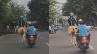 Aksi Kocak Driver Ojol Tunggangi Kuda di Depan Kampus UMS