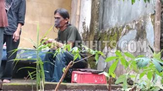 Terungkap Alasan Pohon Ini Ditanam Ibu Miskin Yang Meninggal Dunia