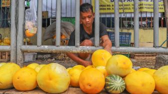 Pedagang merapikan buah Timun Suri di Pasar Palmerah, Jakarta Pusat, Sabtu (25/4). [Suara.com/Alfian Winanto]
