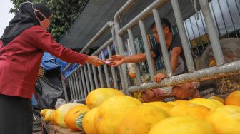 Penasaran, Kenapa Timun Suri Hanya Ada Saat Ramadan?