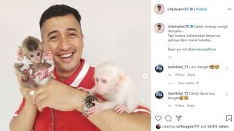 Irfan Hakim Dikecam Kelompok Internasional: Monyet Bukan Peliharaan, Lepas!